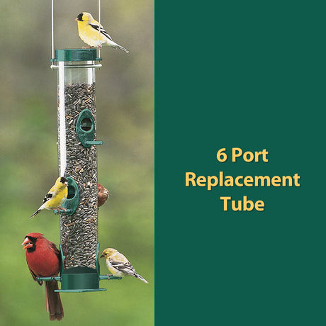 Duncraft Clear Seed Tube, a 15.5-inch clear cylindrical replacement tube for 6-port feeders, filled with seeds and attracting finches and a cardinal.