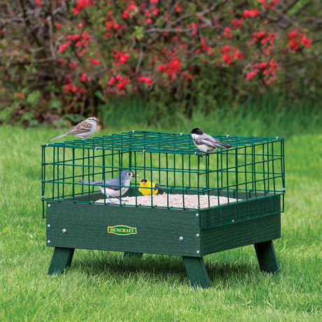 Duncraft Platform Bird Feeders
