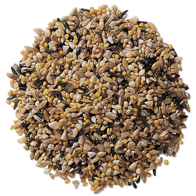 Duncraft Fancy Finch Mix Wild Bird Seed, 5-lb bag, features a premium seed blend perfect for attracting finches, including Nyjer® seed and sunflower hearts.