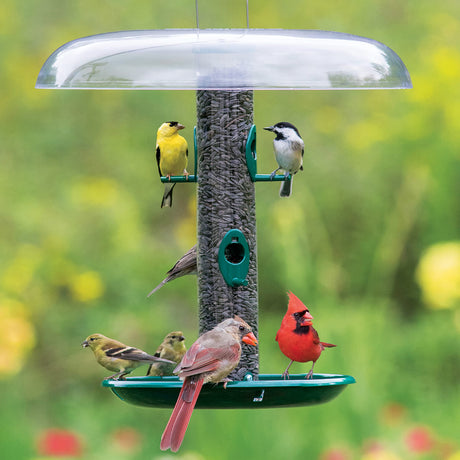 All Bird Feeders
