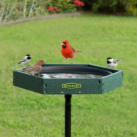 All Bird Baths
