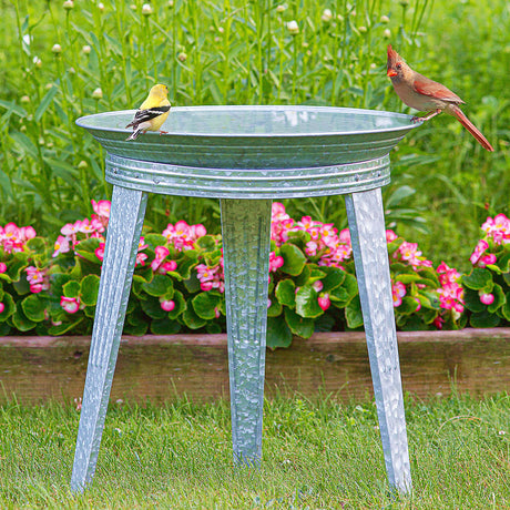 Pedestal Bird Baths