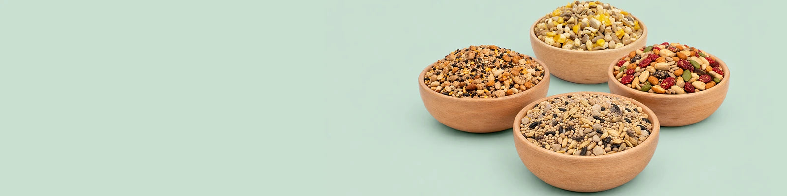 4 bowls of bird seed against a green background.